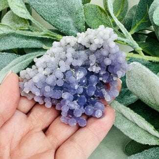Grape Agate Purple Chalcedony -  Large Rough Raw Natural