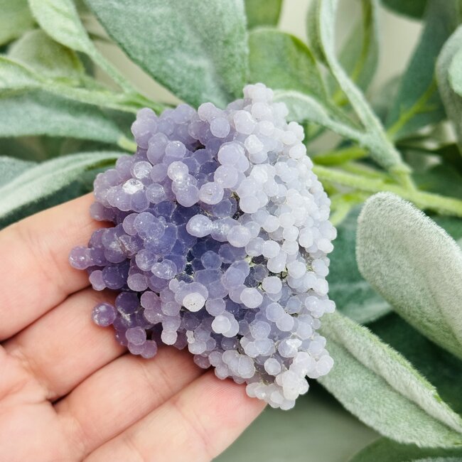Grape Agate Purple Chalcedony -  Large Rough Raw Natural