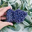 Grape Agate Purple Chalcedony -  Extra Large XL Rough Raw Natural Specimen
