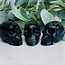 Black Rose Rainbow Fluorite Skulls - 3"