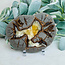Septarian Jasper (Dragon Stone) Slab Slice Flat Plate - Medium
