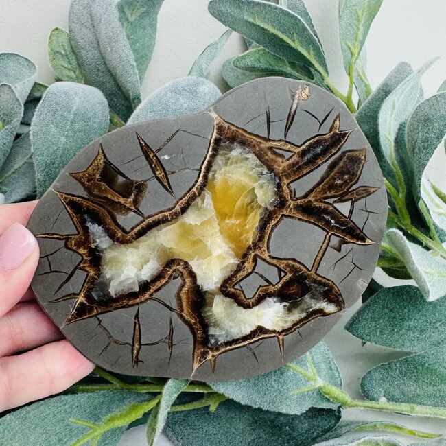 Septarian Jasper (Dragon Stone) Slab Slice Flat Plate - Medium