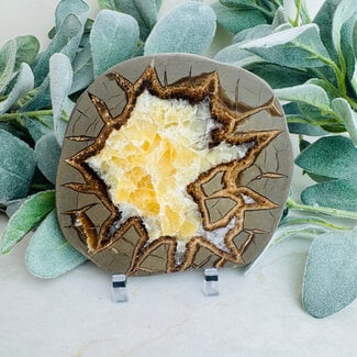 Septarian Jasper (Dragon Stone) Slab Slice Flat Plate - Large
