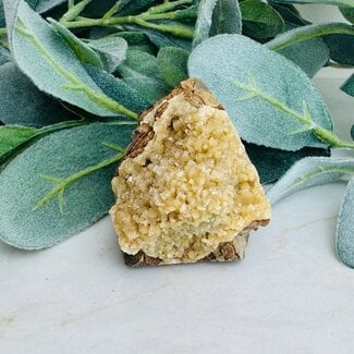 Septarian Jasper (Dragon Stone) Rough Raw Natural Specimen Medium - Flat Bottom
