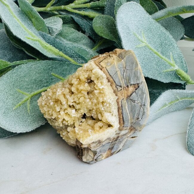 Septarian Jasper (Dragon Stone) Rough Raw Natural Specimen Medium - Flat Bottom