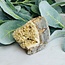 Septarian Jasper (Dragon Stone) Rough Raw Natural Specimen Medium - Flat Bottom