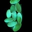 Luminous Opalite - Shiva Lingams Egg