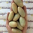 Luminous Opalite - Shiva Lingams Egg