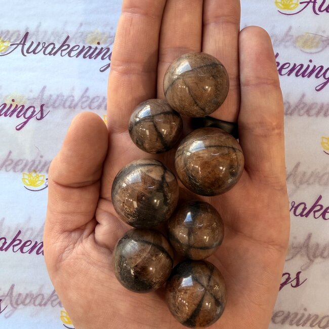 Chiastolite Sphere - 22-28mm