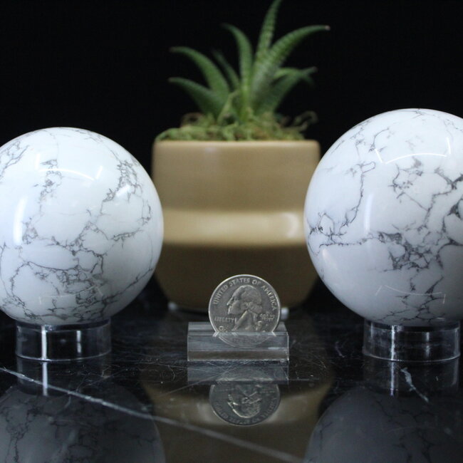 White Howlite (Magnesite) Spheres Orb Globe- 70-75mm