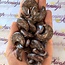 Que Sera (Blue Opal Llianite Galaxy Rhyolite Liberite Glaucophane) Crescent Moons - Medium