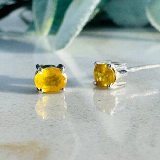 Yellow Sapphire Earrings - 4mm Oval Faceted Studs - Claw Prong Set - Sterling Silver Pukhraj