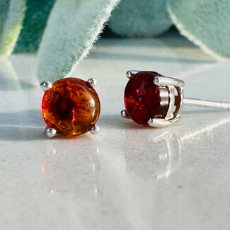 Amber Earrings - 6mm Round Studs - Claw Prong Set Sterling Silver