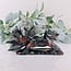 Bloodstone (Seftonite Heliotrope)  7 Seven Tailed Fox Carving - Specimen Figurine 5"x6.5"