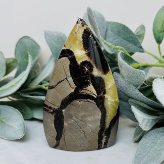 Septarian Jasper (Dragon Stone) Flame Point - Medium 5"