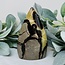 Septarian Jasper (Dragon Stone) Flame Point - Medium 5"