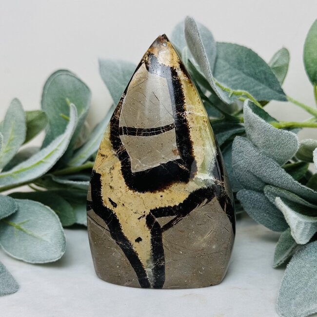 Septarian Jasper (Dragon Stone) Flame Point - Medium 5"