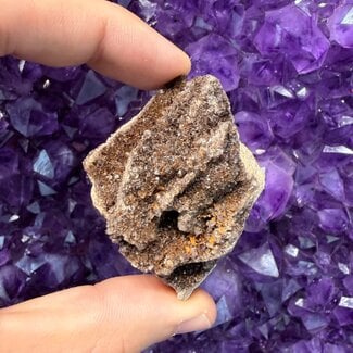 Petrified Wood and Smoky Quartz - Rough Raw Natural