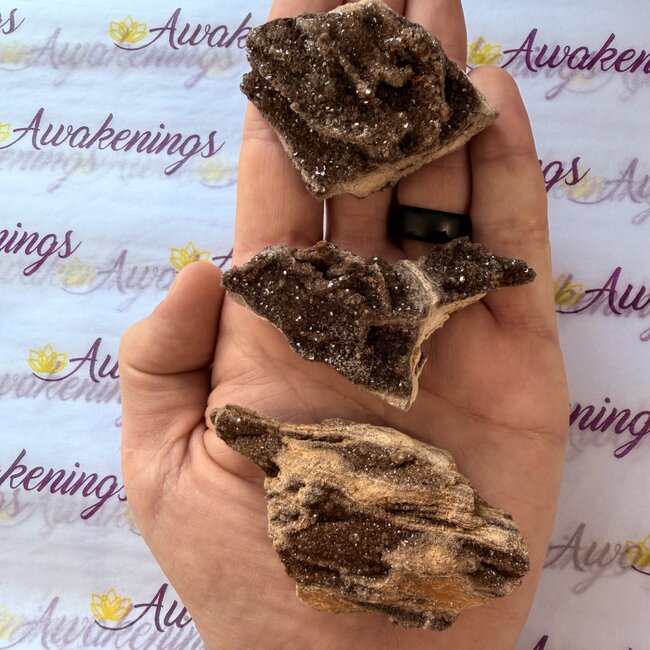 Petrified Wood and Smoky Quartz - Rough Raw Natural