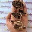 Petrified Wood and Smoky Quartz - Rough Raw Natural