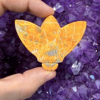 Bumblebee Jasper Bees