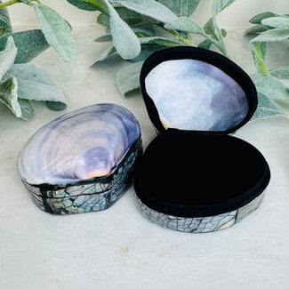 Purple Abalone Shell Trinket Box Holder Container