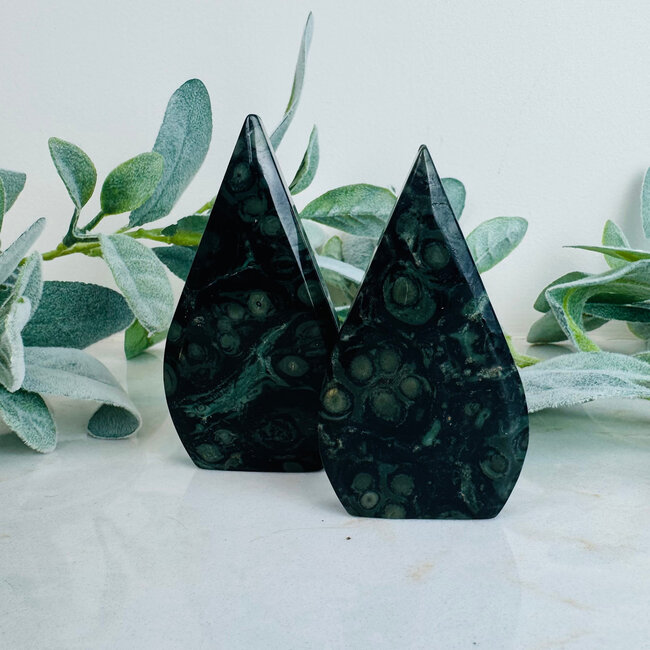 Crocodile (Kambaba) Jasper (Green Stromatolite) Flames - Medium 3-4"