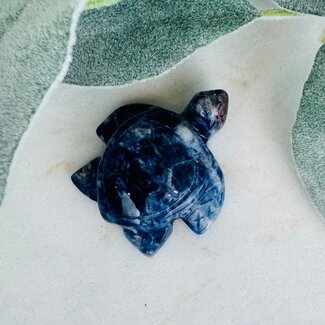 Sodalite Turtles - 2" Medium Carving Figurine