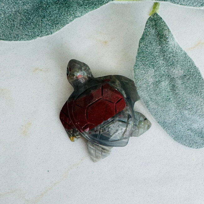 Bloodstone Blood Stone Turtles - 2" Medium Carving Figurine