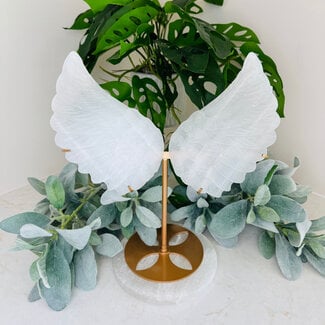 Selenite (Satin Spar Gypsum) Angel Wings on Gold Stand Pin - #2 Extra Large 12"+ Carving Specimen Statement Piece