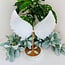 Selenite (Satin Spar Gypsum) Angel Wings on Gold Stand Pin - #2 Extra Large 12"+ Carving Specimen Statement Piece