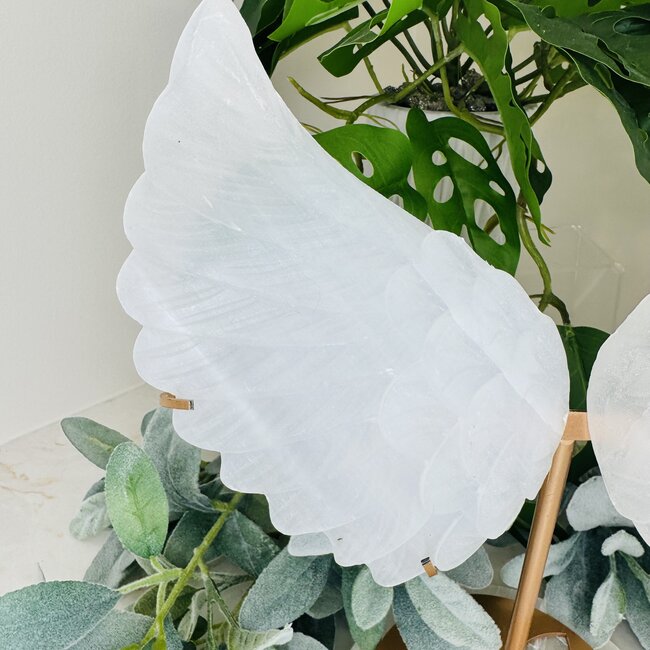 Selenite (Satin Spar Gypsum) Angel Wings on Gold Stand Pin - #2 Extra Large 12"+ Carving Specimen Statement Piece