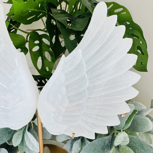 Selenite (Satin Spar Gypsum) Angel Wings on Gold Stand Pin - Extra Large 12"+ Carving Specimen Statement Piece