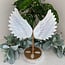 Aura Selenite (Satin Spar Gypsum) Angel Wings on Gold Stand Pin - Extra Large 12"+ Carving Specimen Statement Piece