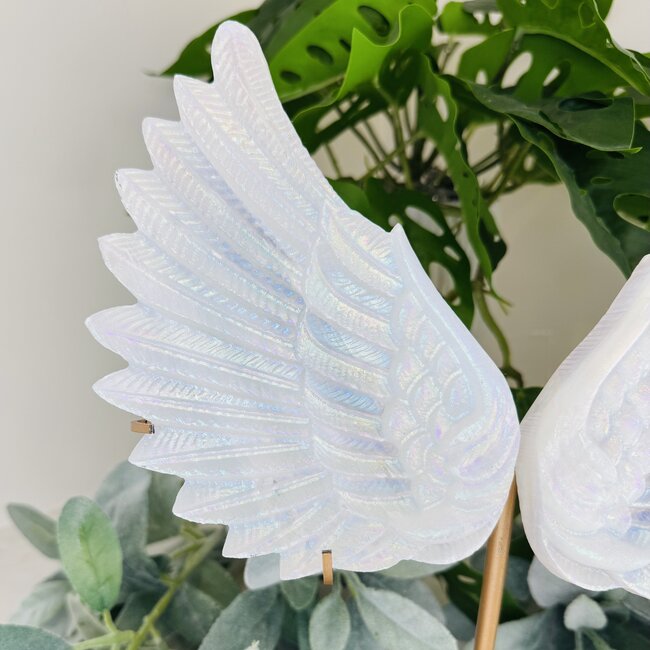 Aura Selenite (Satin Spar Gypsum) Angel Wings on Gold Stand Pin - Extra Large 12"+ Carving Specimen Statement Piece