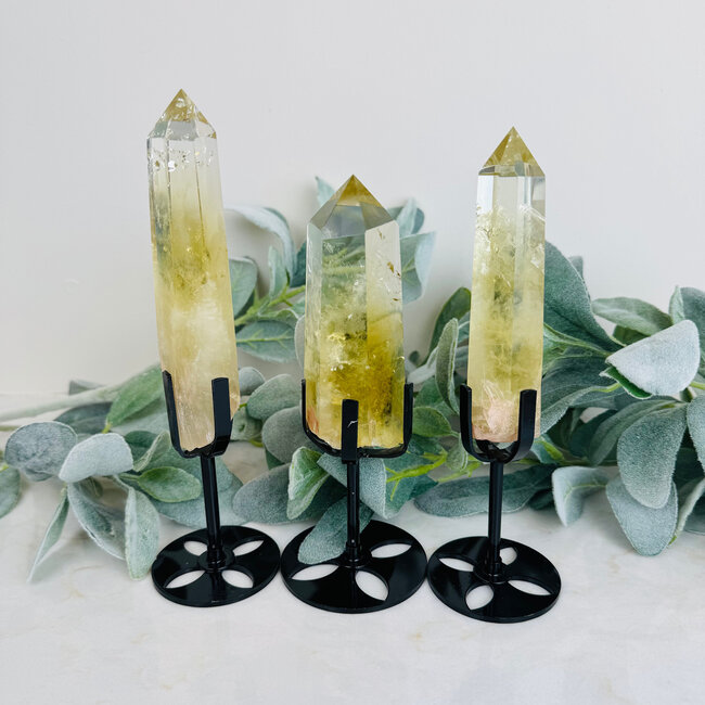 Citrine Points on Black Stand Pin - 7-9" Rough Raw Natural Tower Generator Specimen
