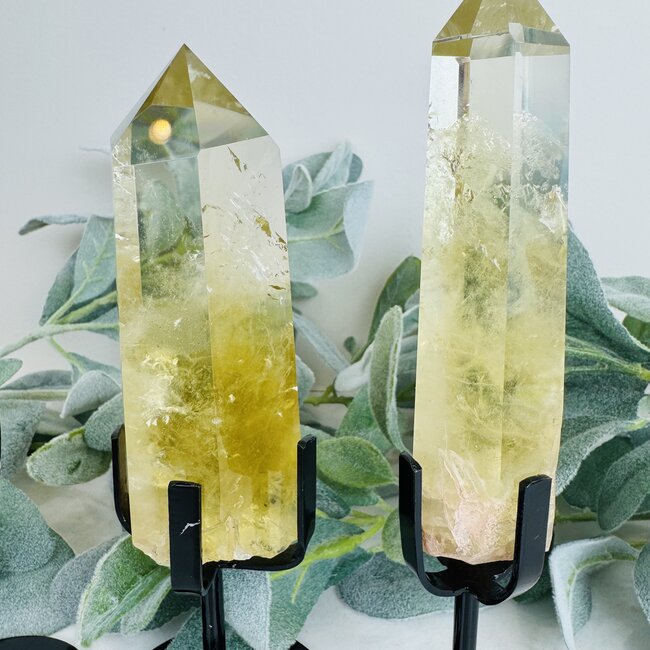 Citrine Points on Black Stand Pin - 7-9" Rough Raw Natural Tower Generator Specimen