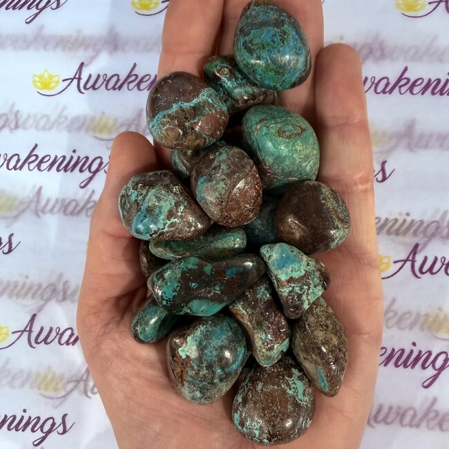 Chrysocolla and Hematite - Tumbled