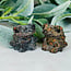 Dark Fossil Coral Frogs - Small 1.5" Figurine Carving Animal Statue