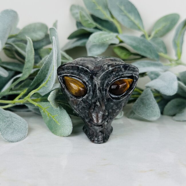 Yooperlite Alien Extra Terrestrial Heads Skulls - Large 3" Gold Tigers Eye Eyes