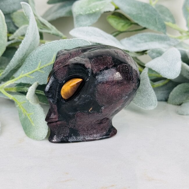 Garnet in Arfvedsonite Alien Extra Terrestrial Heads Skulls - Large 3" Gold Tigers Eye Eyes
