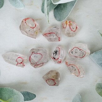 Pakimer Diamond Enhydro Elestial (Skeletal Window Jacare Alligator) Clear Crystal Quartz - Small - Rough Raw Natural