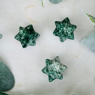 Tree Agate Merkabah - Small 1" (12 Pointed Star)