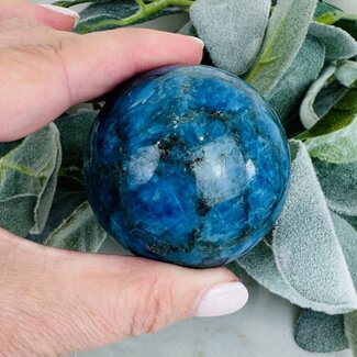 Blue Apatite Spheres Orb Globe - 50-55mm
