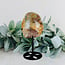 Garden (Landscape Ghost Phantom) Lodolite Quartz Free Form Freeform on Black Pin Stand - Medium Specimen 7"Half Polish Rough