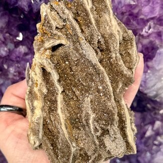 Petrified Wood & Smoky (Smokey) Quartz Specimen 5"x3" - Rough Raw Natural