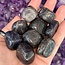 Dark Blue Aventurine - Tumbled
