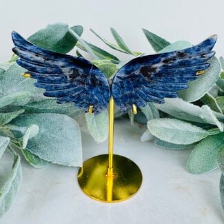 Sodalite Angel Wings on Gold Pin Stand - 5" Medium Carvings
