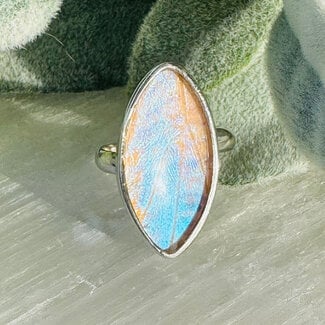 White Iridescent Butterfly Wing Rings - Adjustable Marquise Bezel Set - Sterling Silver