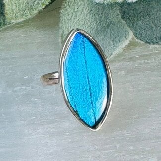 Blue Butterfly Wing Rings - Adjustable Marquise Bezel Set - Sterling Silver